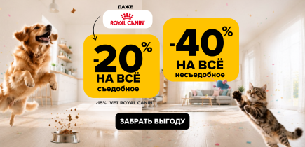Вот это да! Скидки на сайте до 40%! Только 3 дня! 